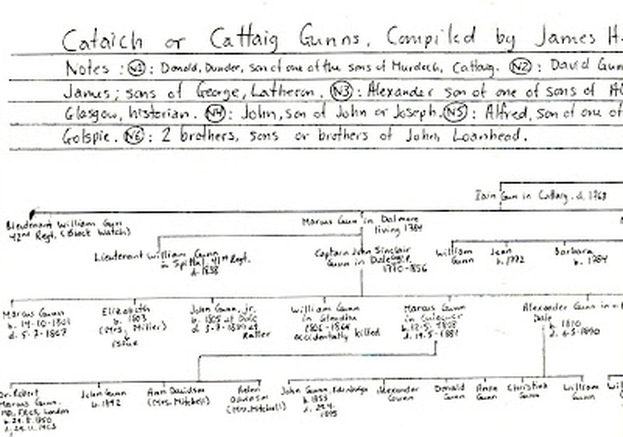 Clan Gunn Gunn Chief history - Cattaig