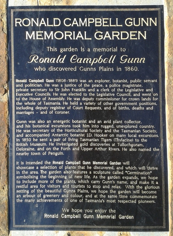 Ronald Campbell Gunn, Tasmania